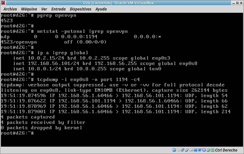 instalacion OpenVpn trafico