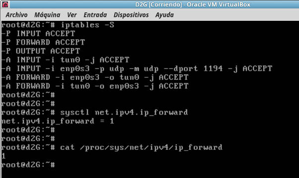 instalacion OpenVpn reglas iptables
